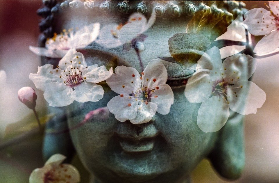 A weathered stone Buddha face framed by white spring blossoms.